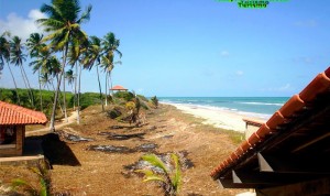 Sugestao de passeio: Dunas de Marape (Jequia)